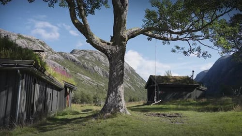 A swing on the old tall tree. A traditional sod-roof house is to the left. Slow-motion, pan forward.