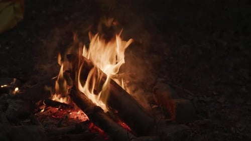 Fire Pit Crackling in the Forest