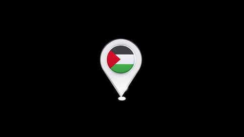 Animated 3D Palestine Flag Location Pin Icon