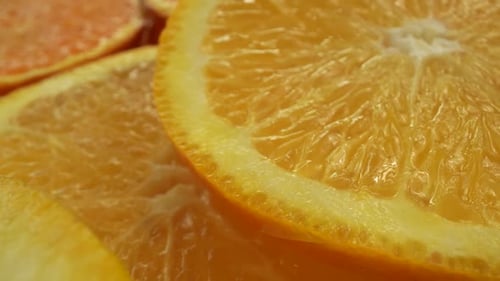 Orange Slices 05