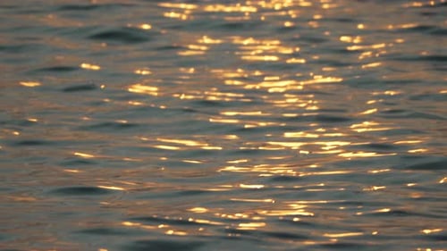 Sunset Water Reflection Golden Hour Ocean Surface Shimmering Golden Light Reflecting Peaceful