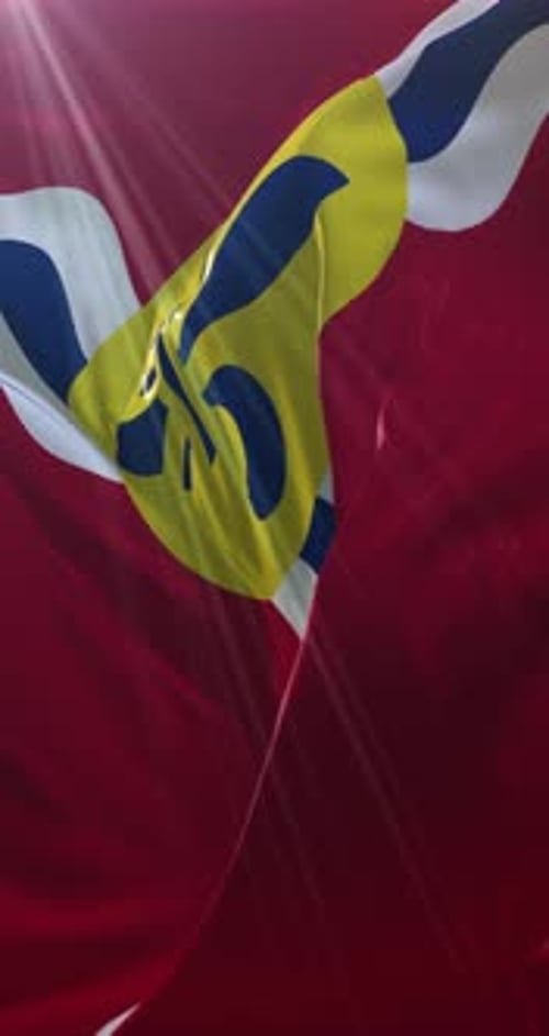 Dynamic Realistic St. Louis City Flag Waving in Wind
