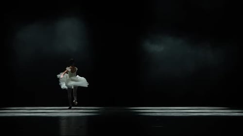 Ballet Dancer Performing Gracefully on Stage