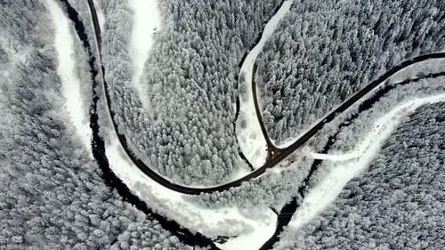 Aerial Shot of a Road with Cars in a Beautiful Spruce Forest in Winter