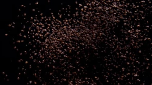 Coffee Beans Floating on Black Background