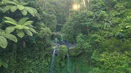 Drone footage of tropical waterfall cascading down lush green rocks in dense rainforest,