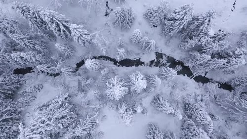 view of winter mountain river surrounded by trees
