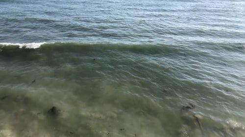 Clip in Zeitlupe. Meereswellen bei Tageslicht am Strand. Wellen, die mit Steinen auf den Strand treffen, nach unten kippen,