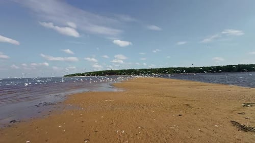Experience the Serene Beachfront Featuring a Beautiful Sandy Shore and Calm Waters Captured in