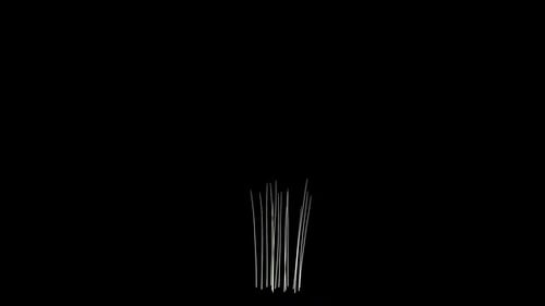 Abstract Minimalist Line Art Organic Plant Growth Animation