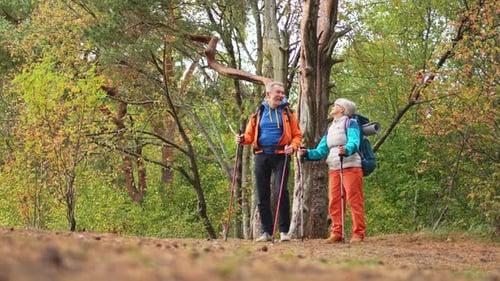 Hiking Tourism Adventure Senior Couple Man Woman Enjoying Outdoor Recreation Hiking in Forest Happy