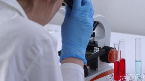 Adult Using Microscope in a Science Lab