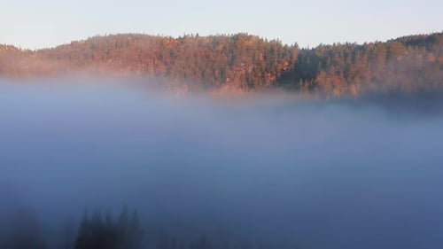 Voler à travers un épais brouillard vers les montagnes de la forêt Golden Hour, Vue Aérienne