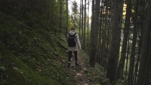 Beautiful Woman Traveler Walks Through the Forest in the Mountains Incredibly Beautiful Views in the