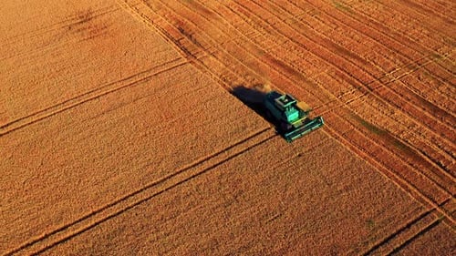 Harvesting Crop With Agricultural Machinery In Countryside Of Lithuania. Aerial Drone Shot