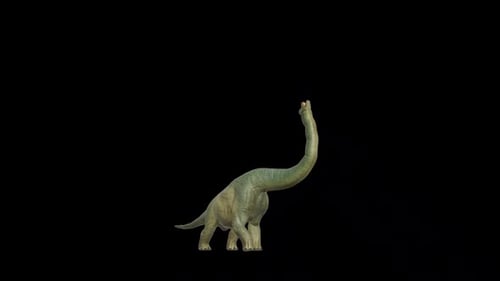 Vorderseite der Brachiosaurus-Rinde