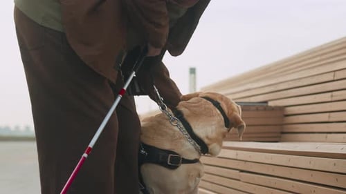 Visually Impaired Man Removing Muzzle from Guide Dog on Street