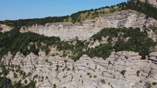 Rocky Mountains with Green Vegetation