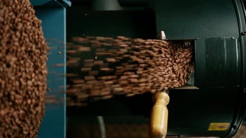 Coffee Beans Pouring in Processing Machine