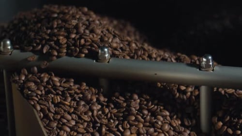 Coffee Beans Rolling in Industrial Machine Close Up