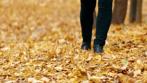 Women's Legs in Black Shoes Walking on Orange Fallen Leaves in the Autumn Park