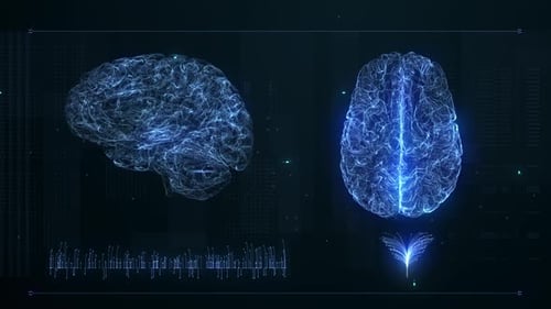 Futuristic Digital Brain Scan and Data UI Display