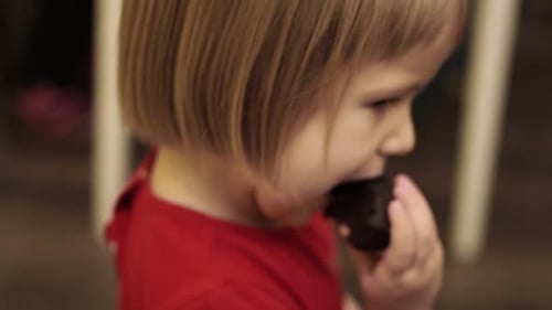 Cute little girl eating cookie and cake