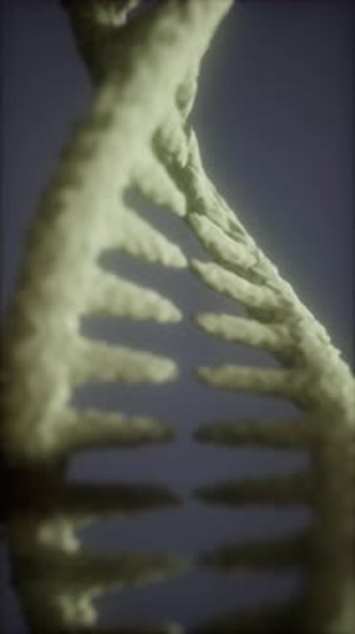 Intricate Structure of DNA Showcasing Its Double Helix Form Under Microscope