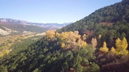 aerial shot shoting a mountain side and valley with hot aspen trees