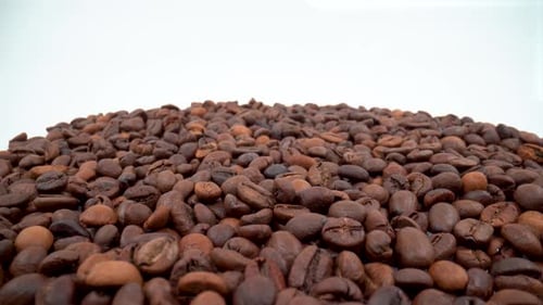 Coffee beans close up on white background isolated 4K