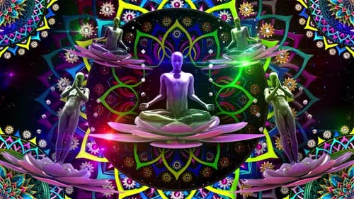 Meditating On The Lotus Flower