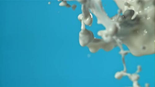 Milchspritzer auf blauem Hintergrund, gefilmt mit einer Hochgeschwindigkeitskamera mit 1000 Bildern pro Sekunde