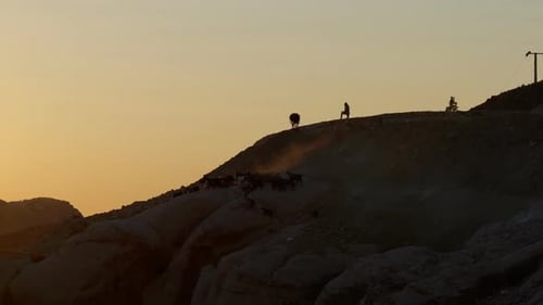 Goat Desert Sunset