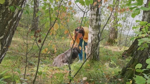 Woman with Dog in a Forest Petting Pet