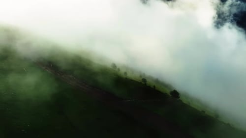FogEnshrouded Green Mountain Slope Green Mountain Slope Blanketed in Thick Fog