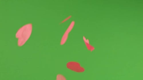 Falling heart-shaped confetti on a green background.