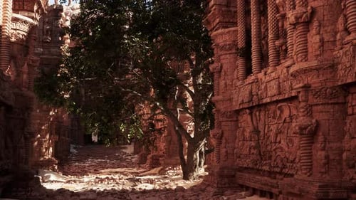 Un arbre pousse au milieu d'une ruelle étroite