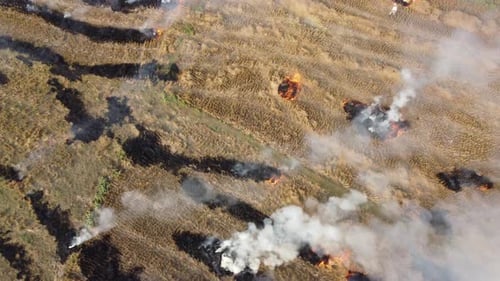 Burning Field With Fire and Smoke, Aerial View