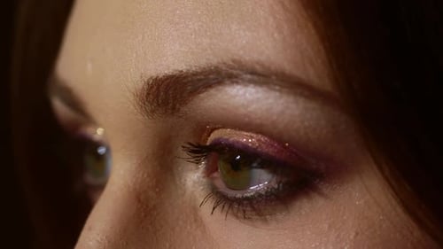 Makeup Artist Applying Eyeshadow Makeup Beauty Female Eyes Closeup Eyeshadow Make Up Face