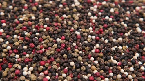 Colorful Variety of Peppercorns Close Up