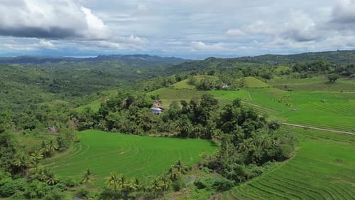 Luftaufnahme der Green Rice Terrace Fields