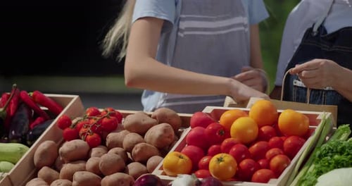 A Woman and Her Granddaughter Sell Vegetables at the Market They Put Tomatoes in a Paper Bag Only