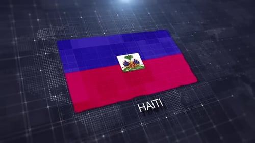 3D Waving Flag of Haiti on Digital Grid Background