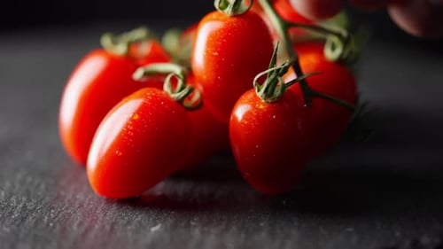 Fresh Cherry Tomatoes on the Vine Close Up