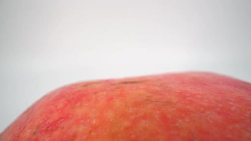 Peach nectarine close up on white background isolated 4K