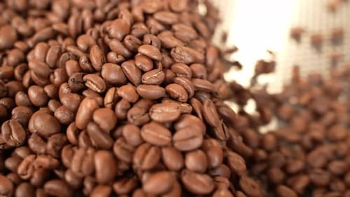 Grains de café aromatiques fraîchement torréfiés sortis d'une machine à torréfier - gros plan Ralenti