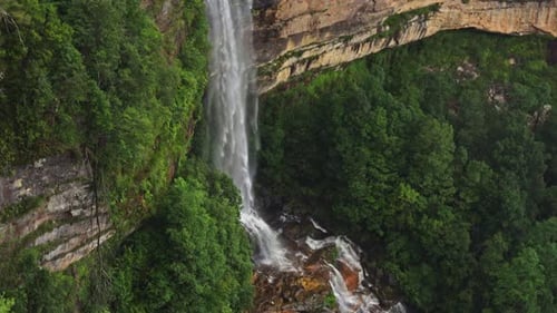 A Stunning Waterfall Cascades Down a Steep Cliff Into a Lush Forest Below Surrounded By Dense