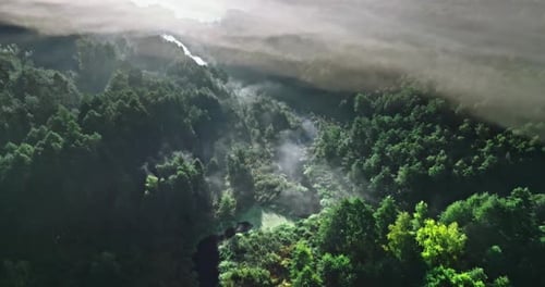 Aerial view of foggy valley in autumn at sunrise.