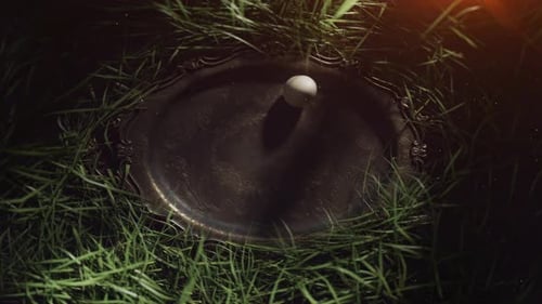 Ein Ei bewegt sich langsam auf einer dunklen Metallplatte im Freien.