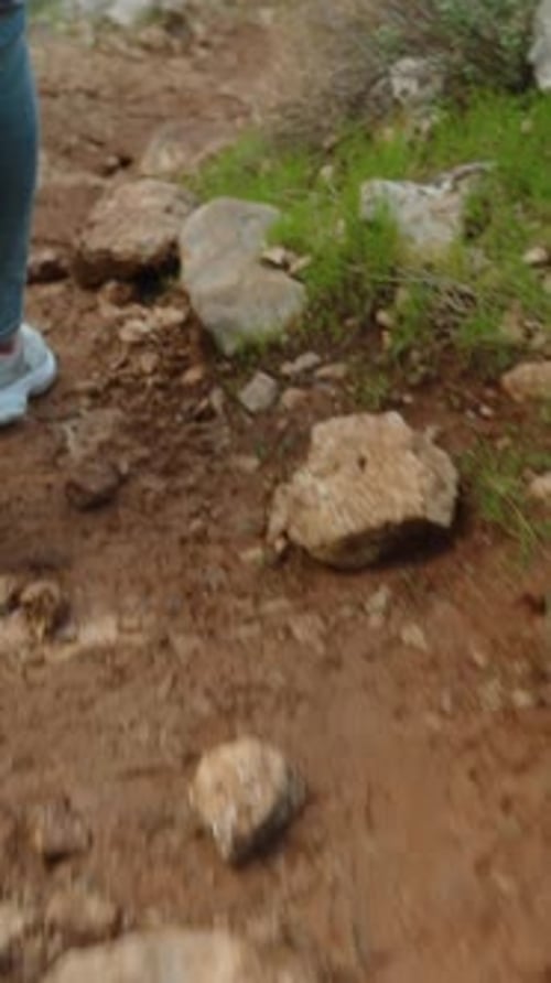 Vertical video. Female Legs in Sneakers Descending Down the Mountain on a Narrow Rocky Path